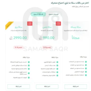 الفرق بين منصة زد وسلة باقات زد