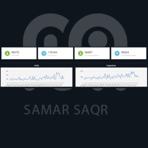 اهداف التسويق الرقمي زيداة عدد زيارات الموقع